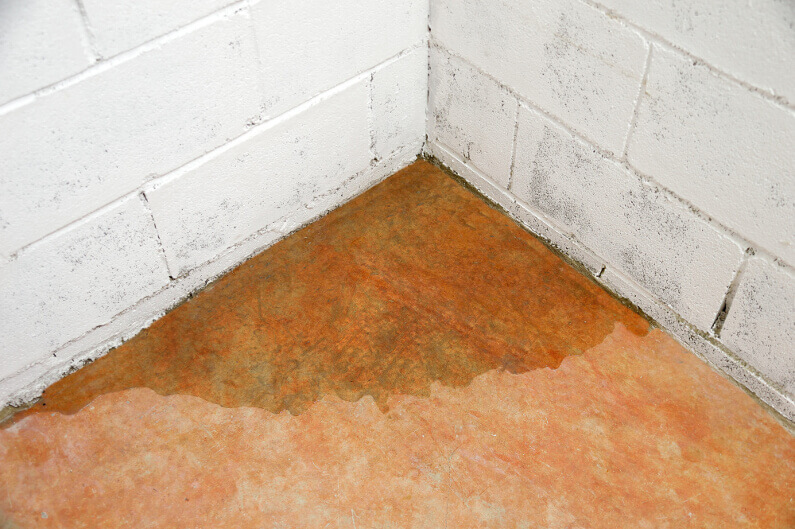 Where’s That Water Coming From? How to Spot a Hidden Leak in Your Home