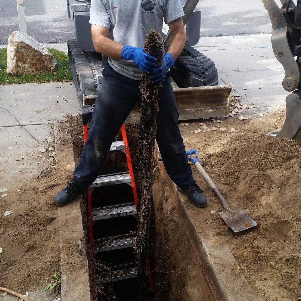 Salt Lake City Drain Cleaning Services-Stallion Plumbing Salt Lake City Drain Cleaning Services-Stallion Plumbing